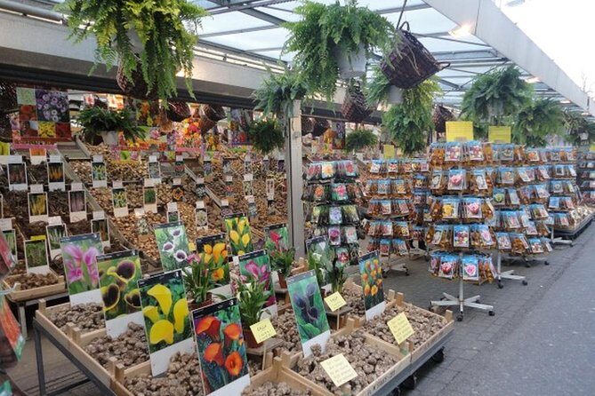 Half-Day Tour of Red Light District and Jordaan District with Private Guide in Amsterdam - FAQs