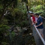 Half Day Tour to Daintree Rainforest and Mossman Gorge - Who Should Consider This Tour?
