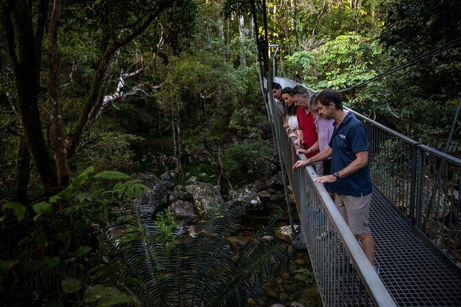 Half Day Tour to Daintree Rainforest and Mossman Gorge - Who Should Consider This Tour?