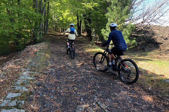Half Day Tour to discover Etna by E-Mtb - The Ride Begins: From Forests to Lava Flows