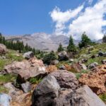 Half Day Tour to Faery Waterfalls, Castle Lake and Mount Shasta - What Travelers Say