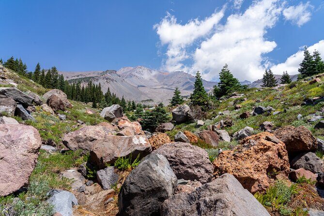 Half Day Tour to Faery Waterfalls, Castle Lake and Mount Shasta - What Travelers Say