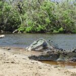 Half-Day Tour to Ventanilla, Mazunte, Zipolite and Puerto Angel - Final Thoughts