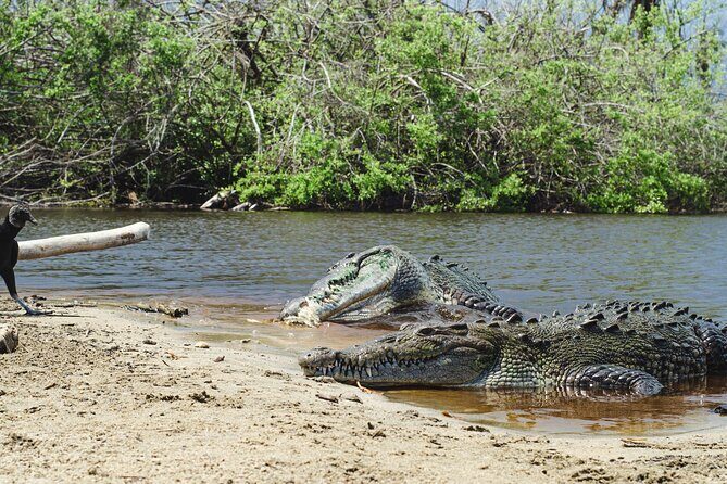 Half-Day Tour to Ventanilla, Mazunte, Zipolite and Puerto Angel - Final Thoughts