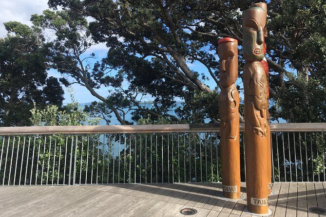 Half-Day Volcano Tour from Auckland - Meeting Points and Practical Info