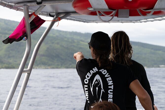 Half day Whales watching PRIVATE group - Why This Tour Offers Good Value