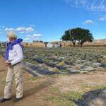 Half-day Wine and Olive Oil Tasting and Lavender Farm Tour - The Practicalities: What You Need to Know