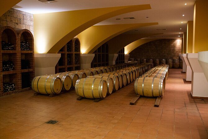 Half Day Wine Tasting with Dinner in Kos - Authenticity and Value