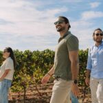 Half Day Wine Tour Around Evora - Why This Tour Works for Travelers