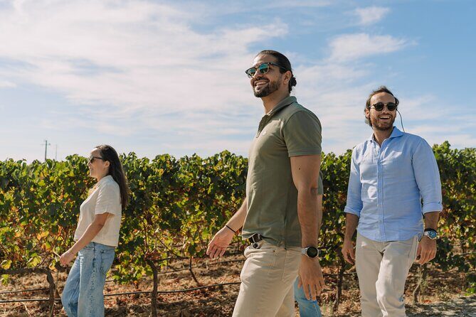 Half Day Wine Tour Around Evora - Why This Tour Works for Travelers