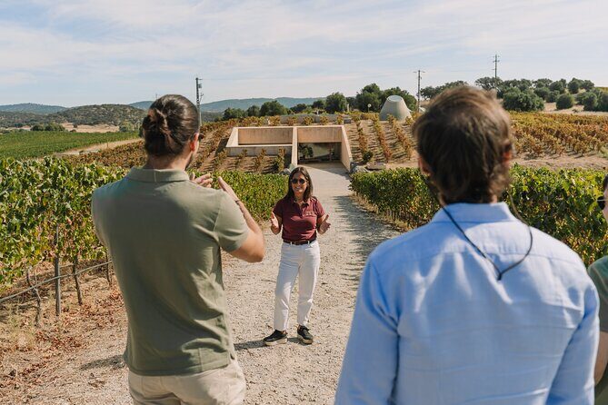 Half Day Wine Tour Around Evora - What Sets This Tour Apart?