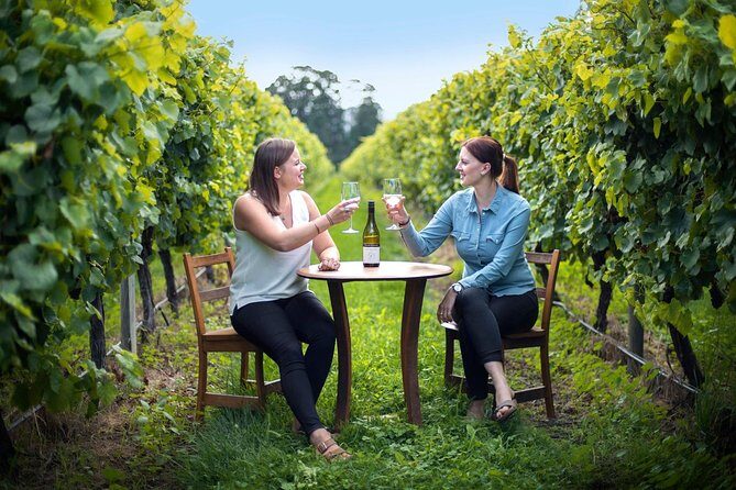 Half-Day Wine Tour from Blenheim - Why This Tour Offers Value