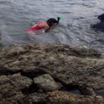 Half Island West side history/ snorkel tour - A Closer Look at the Tour: What to Expect