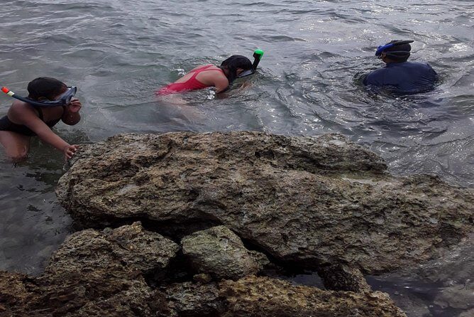 Half Island West side history/ snorkel tour - A Closer Look at the Tour: What to Expect