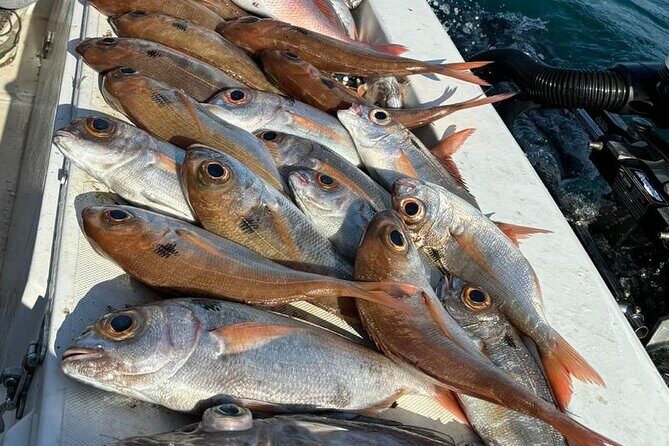 Half-seabed or rod fishing tour with bolentino - Final Thoughts: Why You Should Consider This Experience