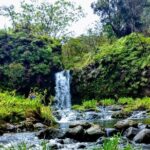 Halfway to Hana Tour of Maui Black Sand Beach Waterfalls Turtles - Who Is This Tour Best For?