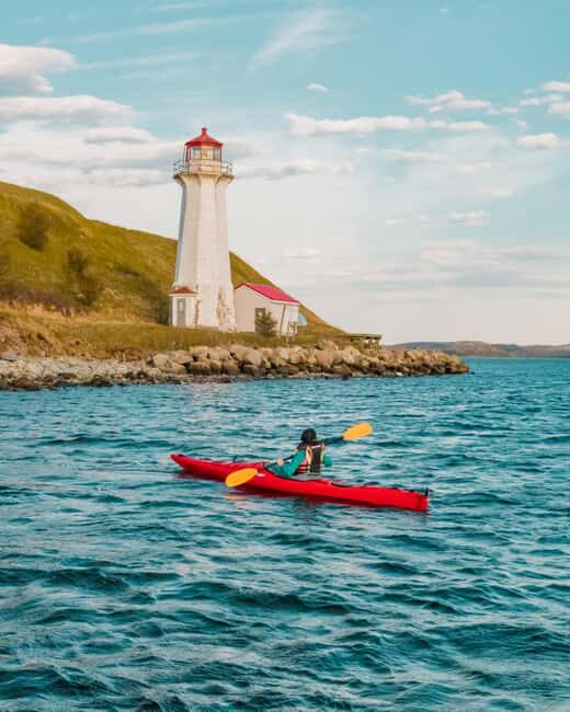 Halifax: Georges Island Kayak Tour - Who Would Enjoy This Tour?