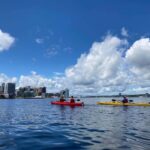 Halifax: Guided Kayak Tour with Multiple Options - Who Should Consider This Tour?
