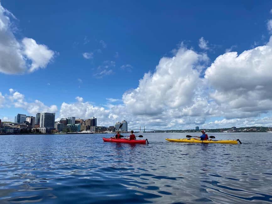 Halifax: Guided Kayak Tour with Multiple Options - Who Should Consider This Tour?
