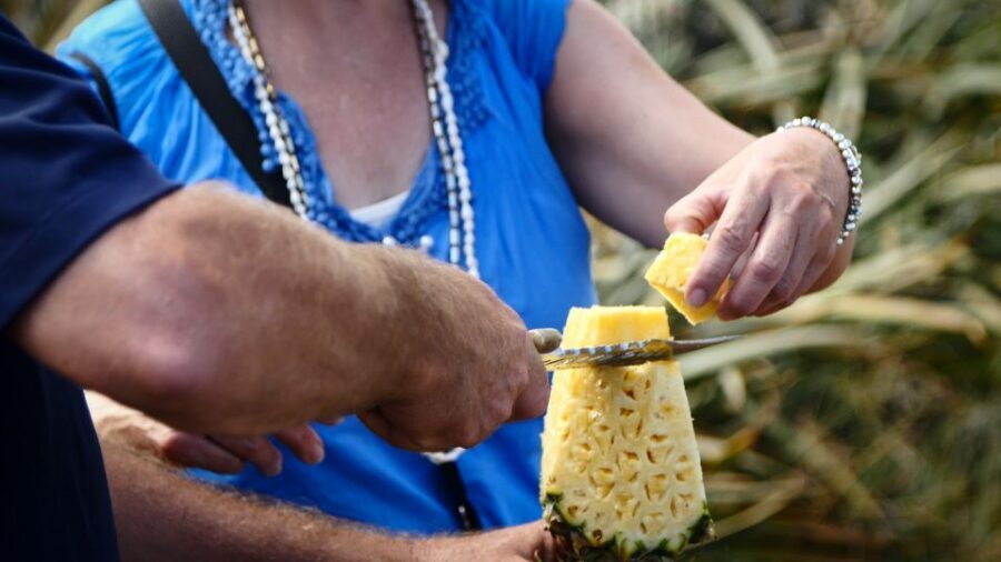 Hali'imaile: Pineapple Farm Tour - The Value of the Maui Pineapple Farm Tour