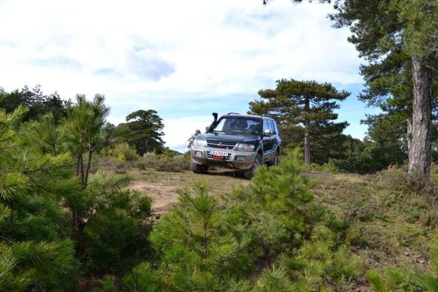 Halkidiki: Kassandra 4x4 Jeep Safari Off-Road Experience - Who Will Love This Experience?