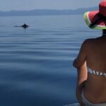 Halkidiki: Sithonia Private Full Day Cruise - The Experience: Why It Stands Out
