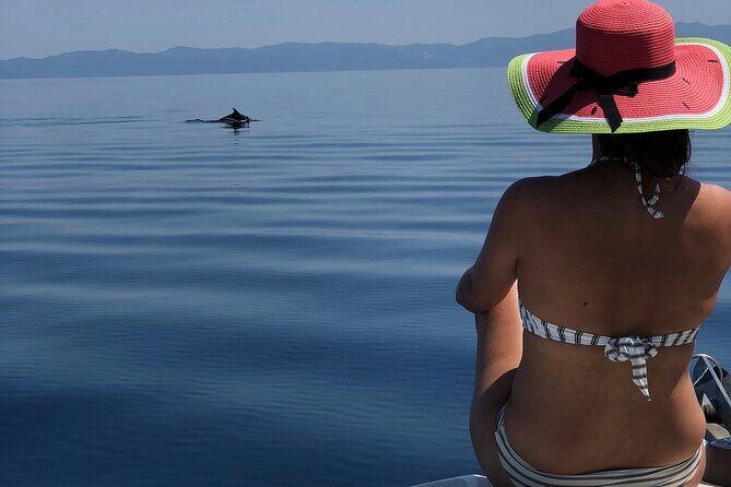 Halkidiki: Sithonia Private Full Day Cruise - The Experience: Why It Stands Out