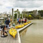 Hallertau Clevedon Kayak Tour - Exploring the Wairoa River and Waitawa Regional Park