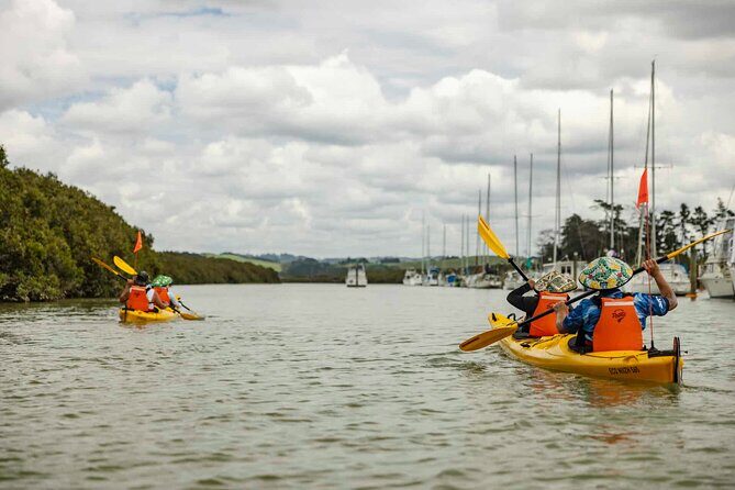 Hallertau Clevedon Kayak Tour - Who Is This Tour Best For?