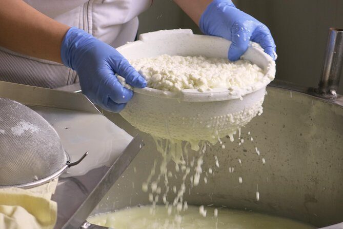 Halloumi Heaven: Cheese-Making Class & Troodos Mountain Villages 7h - In-Depth Look at the Tour