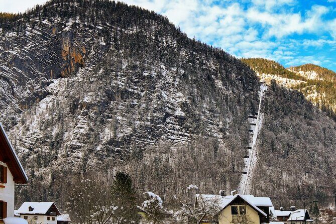 Hallstatt Private Full Day Tour from Vienna - Who Will Love This Tour?