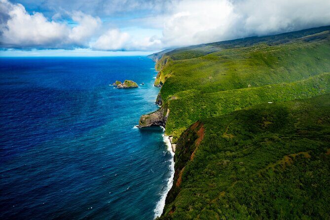 Hamakua Coast & Valleys Safari - A Deep Dive into the Experience