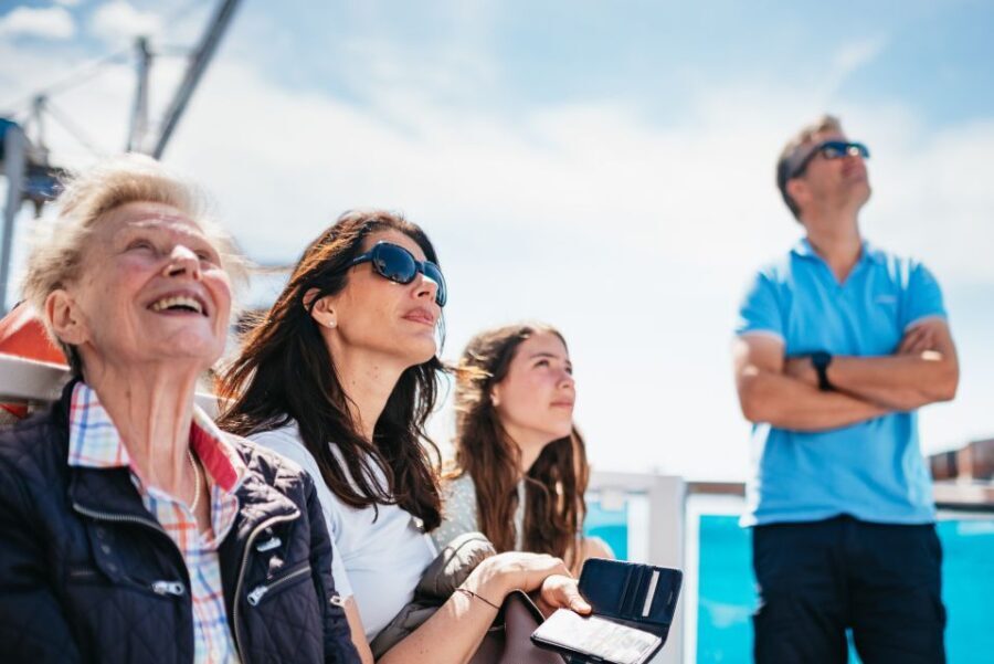 Hamburg: 1.5-Hour Harbor and Speicherstadt Day Cruise