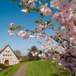 Hamburg: Altes Land Private Nature and Agriculture Tour - Who Is This Tour Best For?