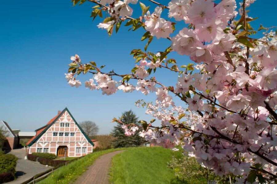 Hamburg: Altes Land Private Nature and Agriculture Tour - Who Is This Tour Best For?