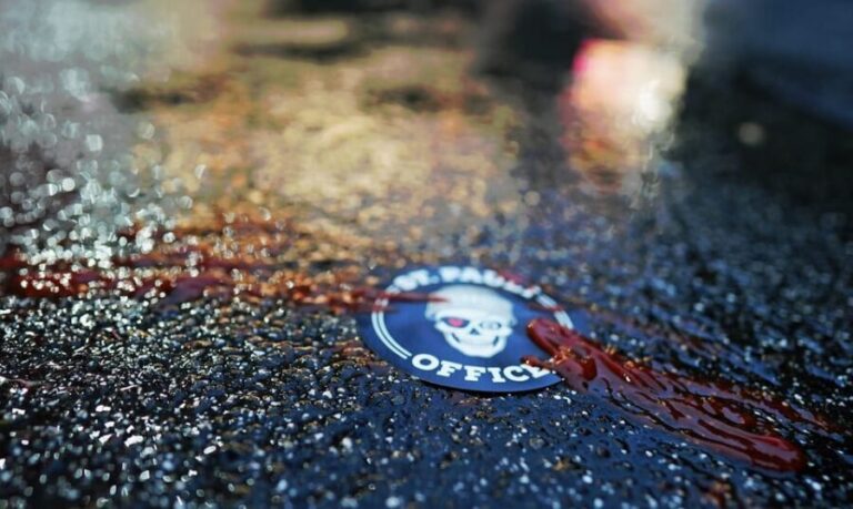 Hamburg: Crimes of St. Pauli Guided Walking Tour - Who Will Enjoy This Tour?