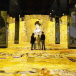 Hamburg: Port des Lumières Klimt & Hundertwasser Ticket - Who Will Get the Most Out of This Experience?