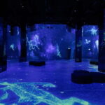Hamburg: Port of Lights Cosmos Ticket - A Detailed Look at the Space Journey in Hamburg