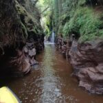 Hamilton Gardens - 30 min Ecological River Cruise - What the Itinerary Looks Like