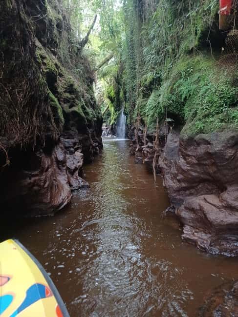 Hamilton Gardens - 30 min Ecological River Cruise - What the Itinerary Looks Like