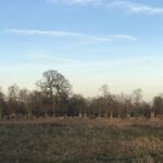 Hampton Court Palace Grounds Bike Tour - Why Choose the Hampton Court Palace Grounds Bike Tour?