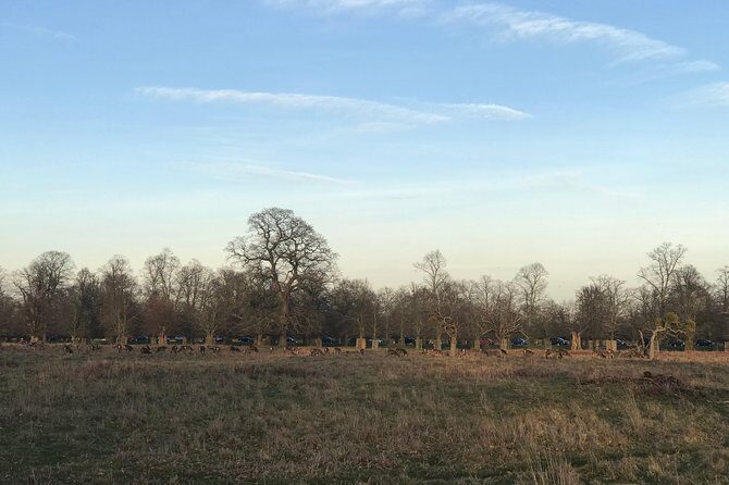 Hampton Court Palace Grounds Bike Tour - Why Choose the Hampton Court Palace Grounds Bike Tour?