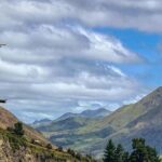 Hanmer Springs Private Day Tour - Lunch and Vineyard Tasting
