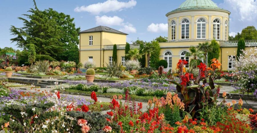 Hannover: Guided tour of the Berggarten - Authentic Experiences from Visitors