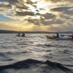 Harbour Bridge Breakfast Paddle - The Value of the Experience