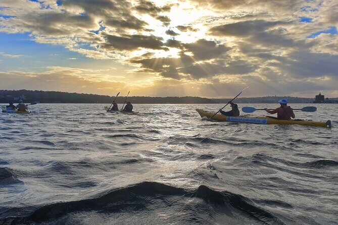 Harbour Bridge Breakfast Paddle