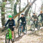 Harderwijk: Mountain Bike Rental on the Veluwe - The Routes and What to Expect