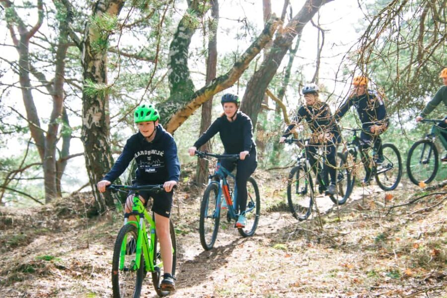 Harderwijk: Mountain Bike Rental on the Veluwe - The Routes and What to Expect