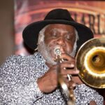Harlem Jazz Series - Who Will Enjoy This Experience?
