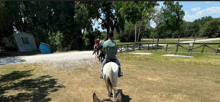 Harmony Horse Riding of Miami - Final Thoughts: Who Is This Experience For?